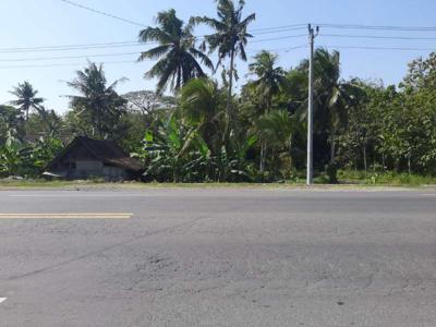 tanah murah,pinggir jalan nasional.timur polres kulon progo