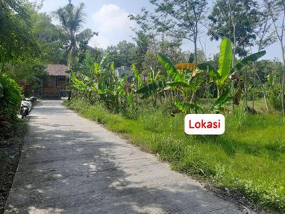 Tanah Paling Murah di Sentolo dekat Jl. Wates