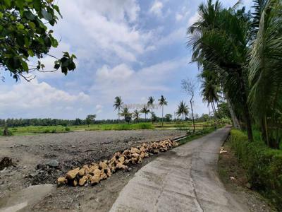 Tanah Pekarangan Cocok Bangun Kost, 5 Menit Kampus UAD Wates