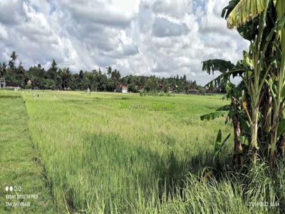 TANAH SUPER MURAH di barat Jl Bantul dekat Perum Pendowo Asri Sewon