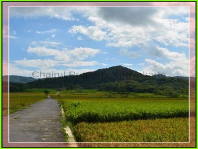 Area Wisata Tanah Kavling Kulon Progo View Sawah