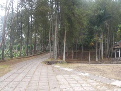 Cibogo manggala giri Lembang tanah 14 ha tanah siap bangun wisata