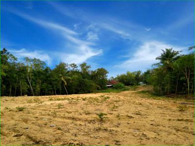 CICIL 12X: Tanah Kavling Bantul Dekat Rajaklana Resort