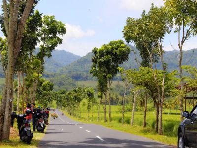 Dekat Pintu Tol Baru Banguncipto, Tanah Cocok Hunian/Homestay