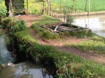 Di jual Kolam Ikan dan Sawah