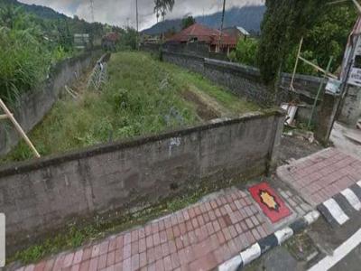 Di jual tanah jalan raya Kebun Raya, Bedugul , Bali