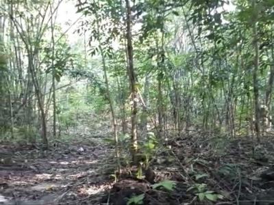 Dijual Tanah di Utara RS UII Bantul