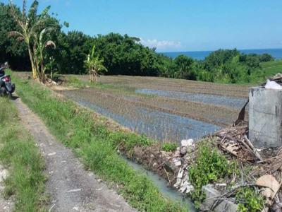 Dijual Tanah View Laut dan Swah di Klecung Tabanan