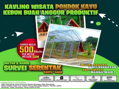 KAVLING WISATA KEBUN ANGGUR PRODUKTIF DI BOGOR