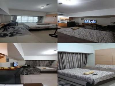 SEWA APARTEMEN SPRINGLAKE SUMMARECON