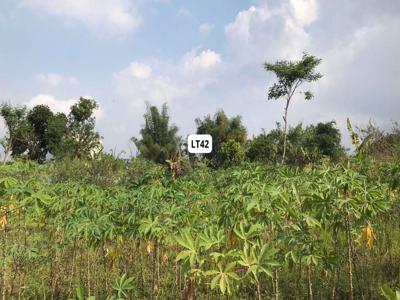 Tanah Dalam Perumahan Joyogrand Cocok Untuk Kos Malang LT42