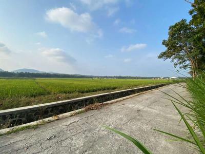 Tanah Di Kawasan Bandara YIA Siap Bangun Include Fasum