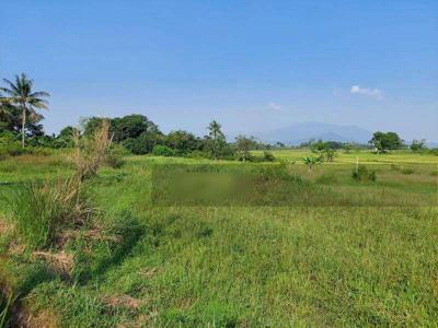 Tanah dijual di pinggir jalan raya akses wisata puncak dua cariu Bogor