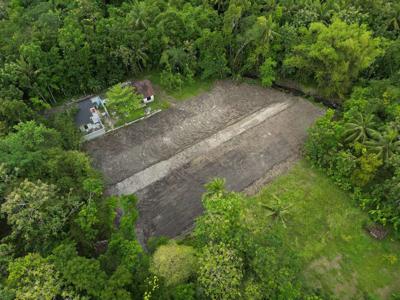 Tanah Kasihan Jogja, Dekat Padma Residence Cocok Investasi Kost