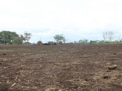 Tanah Kavling Murah Rowosari Dekat Bento Kopi Tembalang
