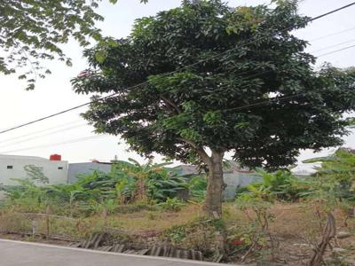 Tanah Kavling Persegi Cocok untuk Rumah Tinggal di Rawalumbu