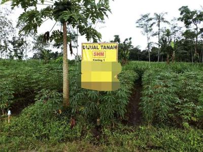 Tanah Luas Siap Bangun Dekat Fasum Dan Area Bisnis Di Pakis Malang