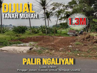 Tanah Murah Cocok Untuk Investasi di Palir Ngaliyan