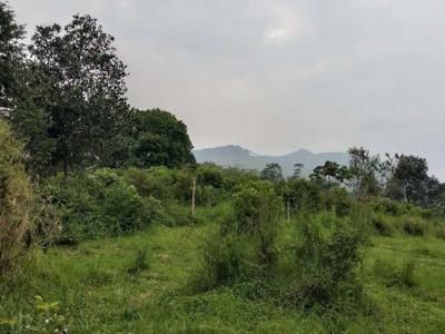 Tanah Pedesaan Idaman 7.000 m² untuk Vila Mewah - Kesempatan Langka!