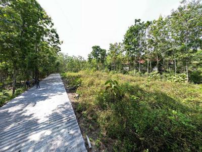 Tanah SHM Panjatan Dekat Exit Tol Jogja - Cilacap
