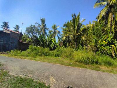 Tanah SHM Pengasih Kulonprogo, Barat Kantor PA Wates