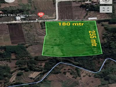 Tanah Zona Industri Akses Jln Kabupaten Di Sukoharjo