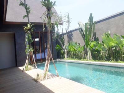 Dijual Brand New Tropical Villas .Kedungu