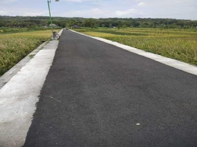 Dijual Tanah View Hamparan Sawah Lokasi Dekat Stadion Cangkring Wates