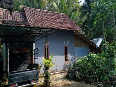 JUAL RUMAH KULON PROGO DI SAMIGALUH MURAH