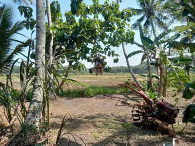 Tanah Jogja BARAT di Kulon Progo