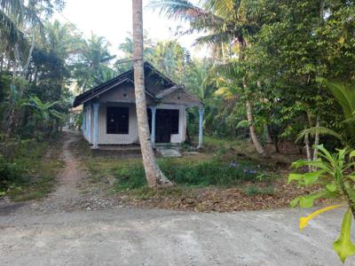 Tanah Murah bonus Rumah Layak Huni di Tayuban Panjatan KP.
