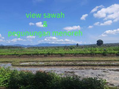 Tanah Murah View Sawah dan Pegunungan Menoreh
