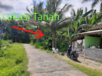 Tanah Murah View Sawah di Tawangsari, Pengasih, Kulon Progo.