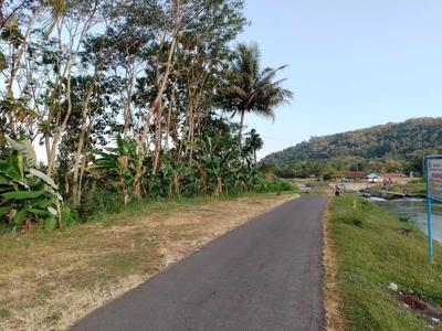 Tanah View Sawah, Kulon Progo Jogja Barat