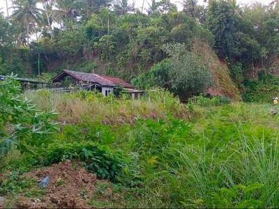 DIJUAL LAHAN GLOBAL DI VILLA AYUNG SIBANGGEDE UNTUK KAVLING