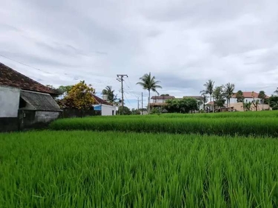 Dijual Sebidang Tanah Exclusive di Kawasan Pantai Nyanyi, Tabanan Bali