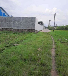 Dijual tanah pekarangan Zona industri,Sragen,jawa tengah |luas 3600m2