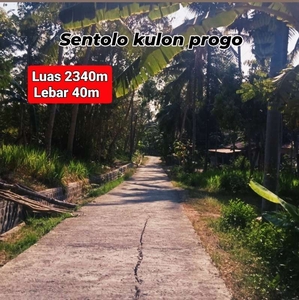 PEKARANGAN MURAH DI SENTOLO KULON PROGO LT 2340m² LD 40m MOBIL LANCAR