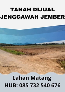 Tanah Area Jenggawah Jember