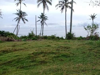 Tanah DK Los Tebing Pantai Bonian Selemadeg Tabanan Bali