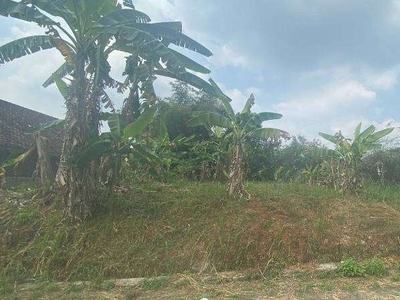 Tanah Hook Akses Jalan Lebar di Ngijo Gunungpati Dekat UNNES Semarang