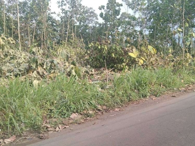 Tanah luas cocok untuk kebun atau pertanian di Kedungkandang Malang