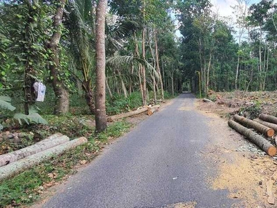 Tanah Murah Klaten, Dekat Pintu Tol Prambanan