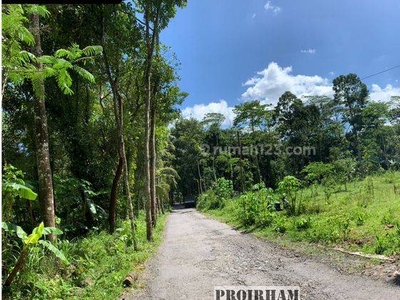 Tanah Murah Manisrenggo Klaten, Dekat Candi Prambanan, SHM P