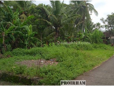 Tanah Murah Pengasih Kulon Progo Dekat Pengadilan Agama Wates