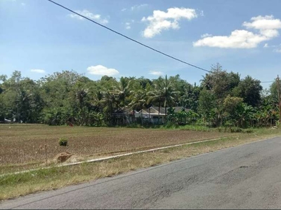 Tanah Murah Sedayu Jogja, Barat Kampus Umy, Akses Mobil Lega