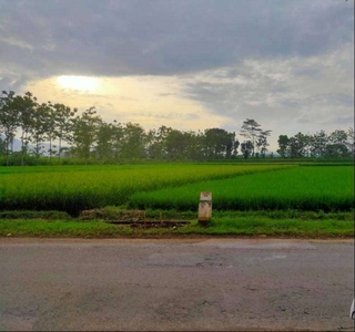 Tanah Sawah Pinggir Jalan Raya di Situraja Sumedang Dijual Murah