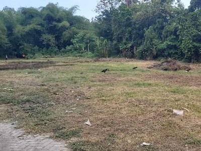 Tanah Tamantirto Bantul Dijual, Dekat Kampus Alma Ata Jogja,Nasionalis