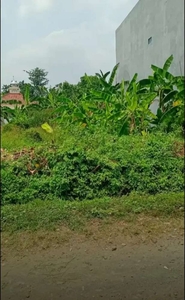 Tanah Tembalang Bulusan Dekat Kampus Undip Tembalang Timoho