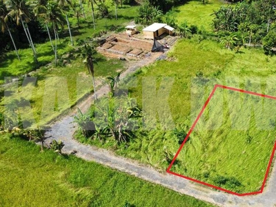 Dijual Tanah Silungan Lodtunduh Ubud Cocok Untuk Dibangun Villa